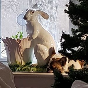 Meet your Posher, Tamara